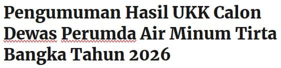 Pengumuman Hasil UKK Calon Dewas Perumda Air Minum Tirta Bangka Tahun 2026